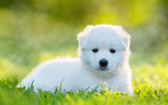 （示意圖源：互聯網）