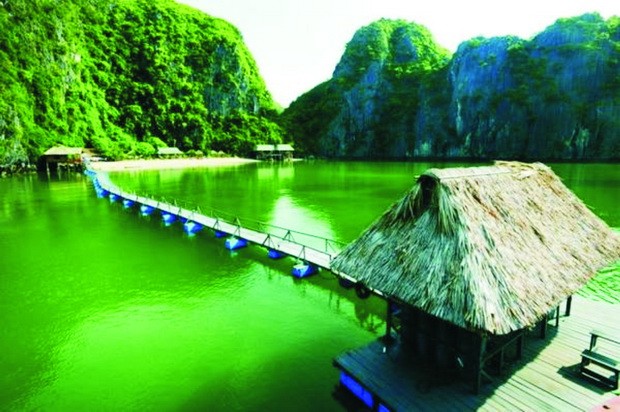 到蘭下灣喚醒被遺忘的天堂 ảnh 1