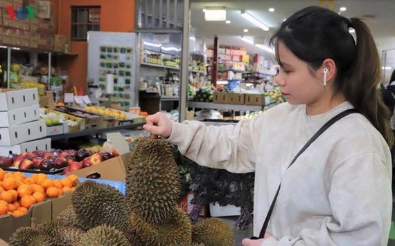 Ri6 榴槤暢銷澳大利亞市場