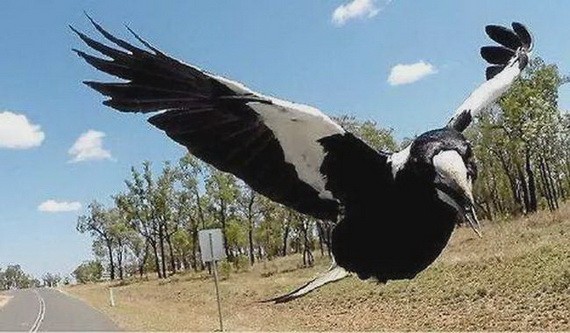 （示意圖源：互聯網） 