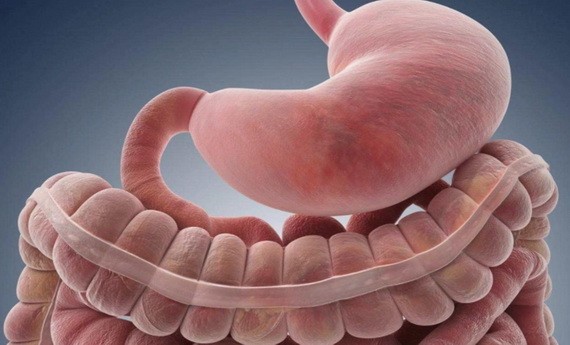 從“炎症”到“癌症”，到底有多遠？