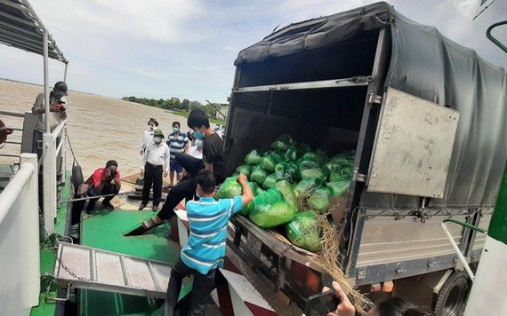 南部各省逾 40 萬噸農產品滯銷。（圖源：VOV）