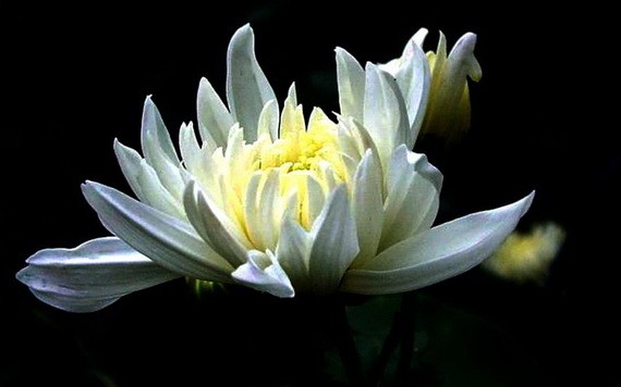 （示意圖源：互聯網） 