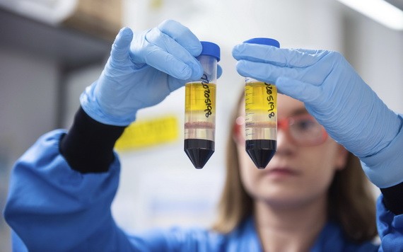 世界衛生組織歐洲區主任克魯格表示，變種病毒的出現已令群體免疫的希望“破滅”。（示意圖源: 互聯網）