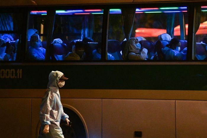 本市進入新常態 ảnh 9