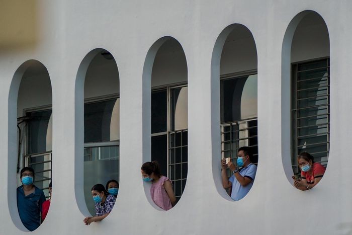 本市進入新常態 ảnh 13