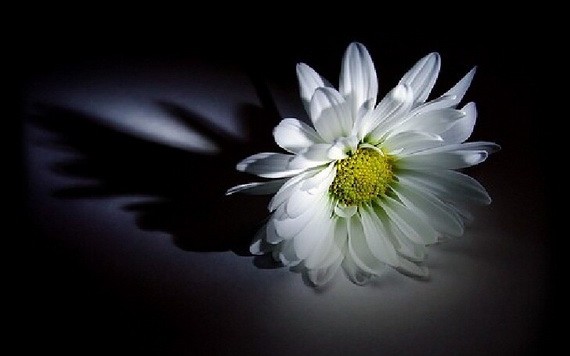 哀悼張漢明書畫家千古