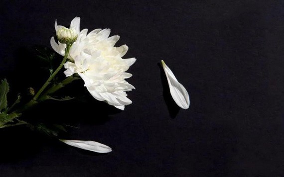 悼張漢明書畫大師千古