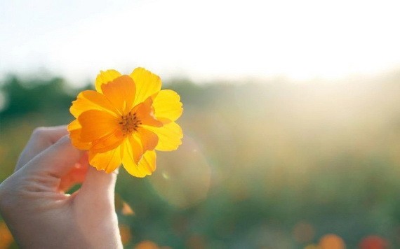 （示意圖源：互聯網） 