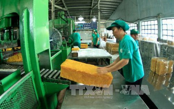 橡膠加工。（圖源：越通社）