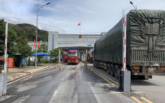 大貨車在諒山省芝麻口岸來回穿梭。（圖源：VOV）
