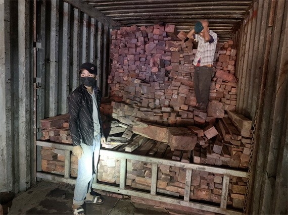 被查獲的走私木材。（圖源：丁進）