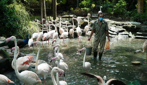 貢草禽園正竭盡全力確保動物的飲食份量和良好地照顧植物。