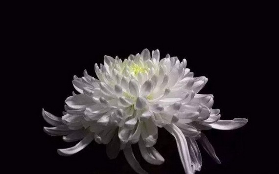 （示意圖源：互聯網） 