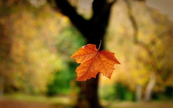 （示意圖源：互聯網） 