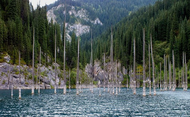 卡因德湖水下森林 ảnh 1