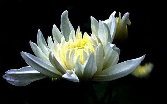 （示意圖源：互聯網） 