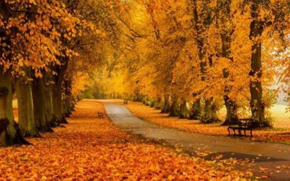 （示意圖源：互聯網） 