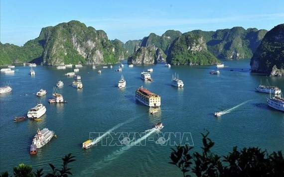 廣寧省下龍灣一景。（圖源：越通社）