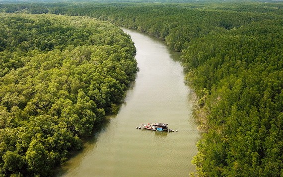 沿海地區森林保護與開發提案獲通過。