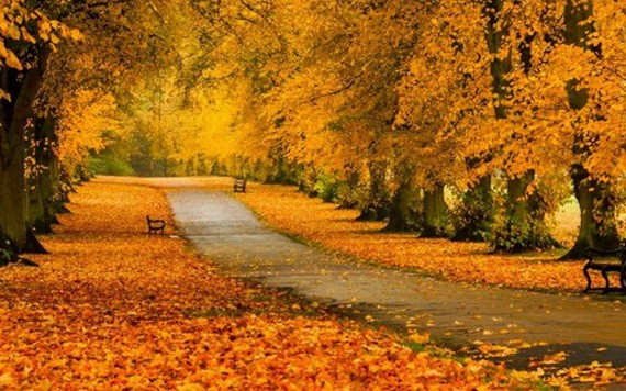 （示意圖源：互聯網） 