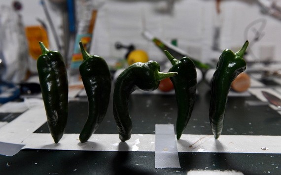 國際太空站首迎辣椒收成