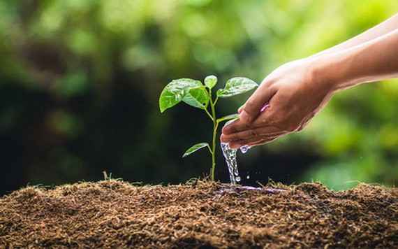 （示意圖源：互聯網） 