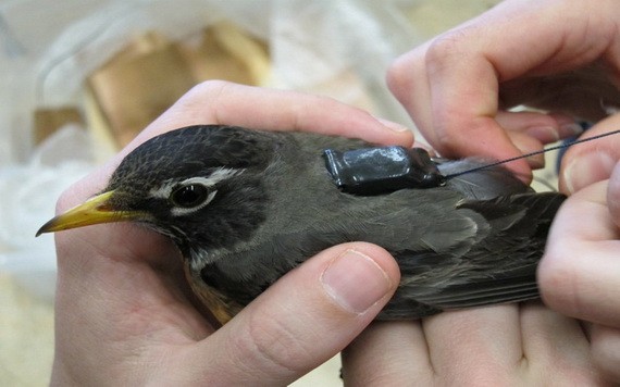 （示意圖源：互聯網） 