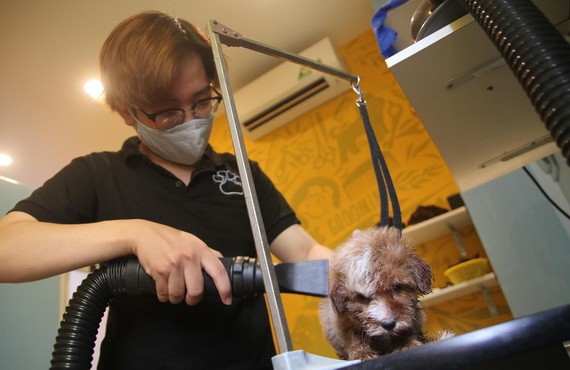 許多服務業的工作正在等待大學生。