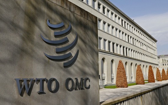 世貿組織發表報告稱，多邊和區域貿易合作利於全球應對未來危機。（圖源：互聯網）