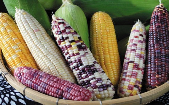 （示意圖源：互聯網） 