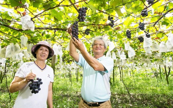 （示意圖源：互聯網） 