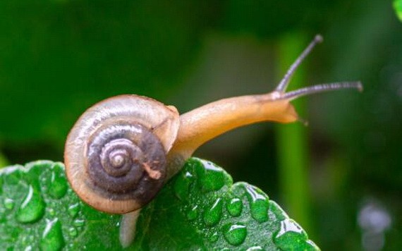 （示意圖源：互聯網） 