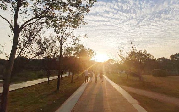 （示意圖源：互聯網） 