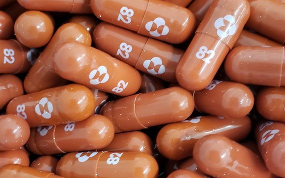 抗病毒口服藥 Molnupiravir。（圖源：互聯網）