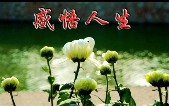 （示意圖源：互聯網） 