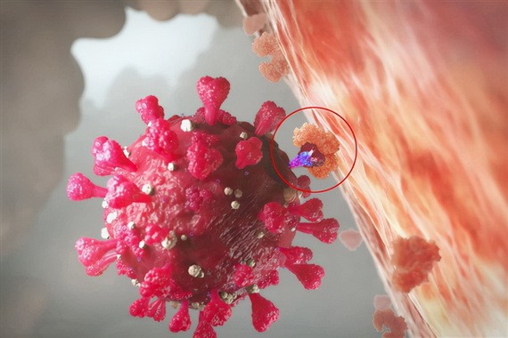 （示意圖源：互聯網） 