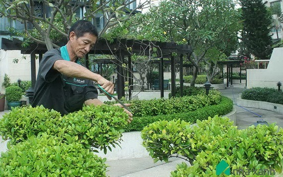 （示意圖源：互聯網） 