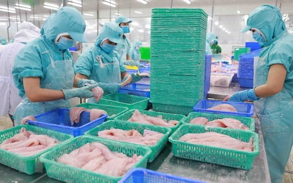 水產品加工出口活動。