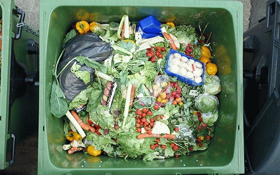 （示意圖：互聯網）