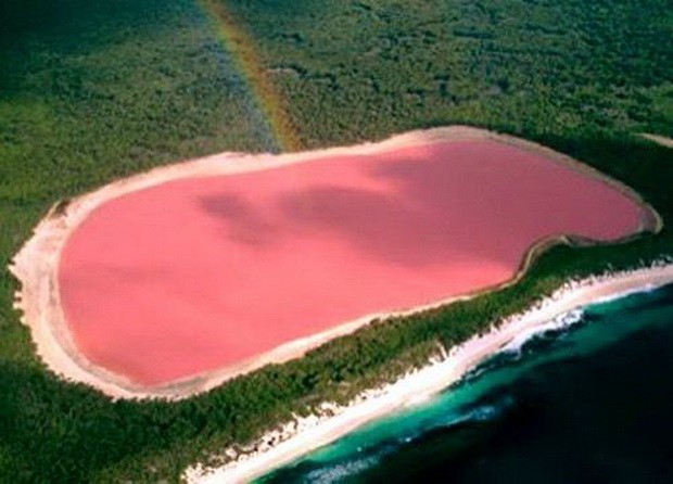 澳大利亞赫特潟湖 ảnh 1