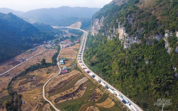 運載農產品的集裝箱貨車在諒山新青口岸附近排長隊。（圖：NNVN）