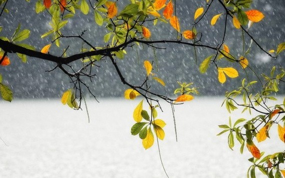 （示意圖：互聯網）