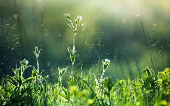 （示意圖：互聯網）