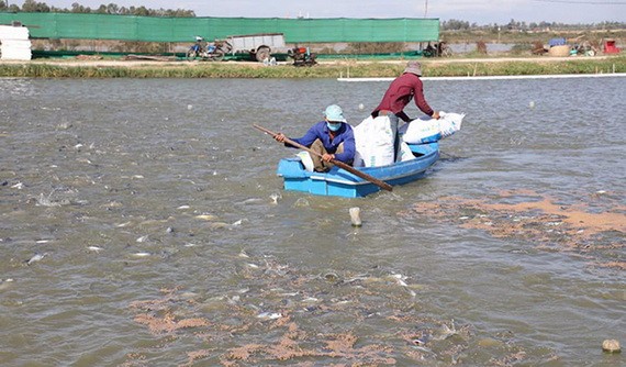 （示意圖：互聯網）