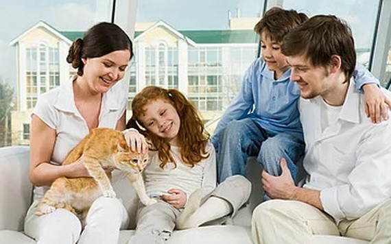 （示意圖：互聯網）