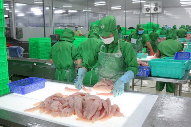 誰給IDI養魚虧損我會自掏腰包彌補損失 ảnh 2