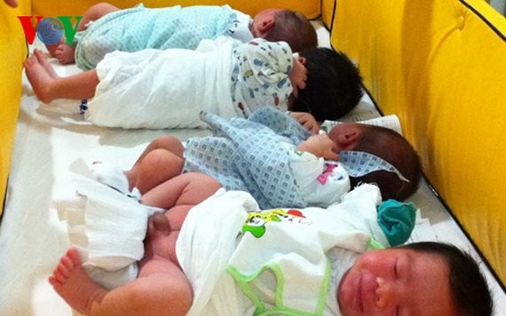 致力扶持越南新生兒成長