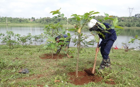春節植樹運動發起