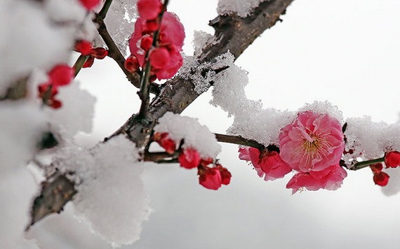 （示意圖：互聯網）